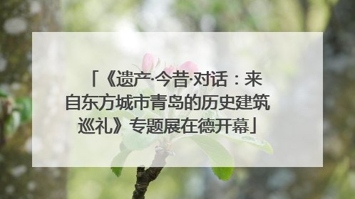 《遗产·今昔·对话：来自东方城市青岛的历史建筑巡礼》专题展在德开幕