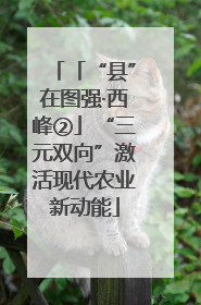 「“县”在图强·西峰②」“三元双向”激活现代农业新动能