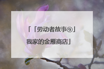 「劳动者故事⑨」我家的金雁商店