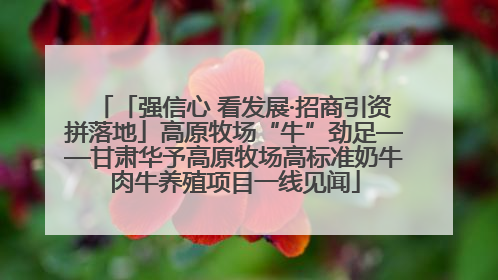 「强信心 看发展·招商引资拼落地」高原牧场“牛”劲足——甘肃华予高原牧场高标准奶牛肉牛养殖项目一线见闻
