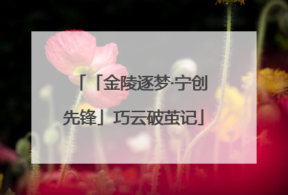「金陵逐梦·宁创先锋」巧云破茧记