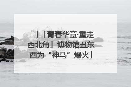 「青春华章·重走西北角」博物馆丑东西为“神马”爆火