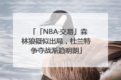 「NBA·交易」森林狼疑似出局，杜兰特争夺战渐趋明朗