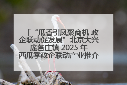 “瓜香引凤聚商机 政企联动促发展”北京大兴庞各庄镇 2025 年西瓜季政企联动产业推介活动圆满举行