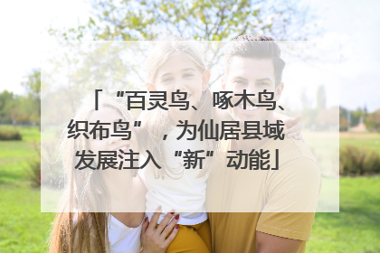 “百灵鸟、啄木鸟、织布鸟”，为仙居县域发展注入“新”动能