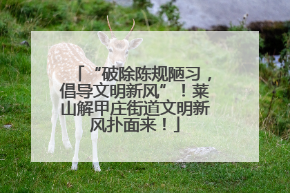 “破除陈规陋习，倡导文明新风”！莱山解甲庄街道文明新风扑面来！