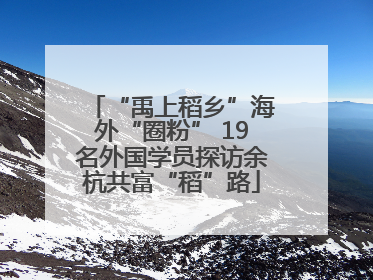 “禹上稻乡”海外“圈粉” 19名外国学员探访余杭共富“稻”路