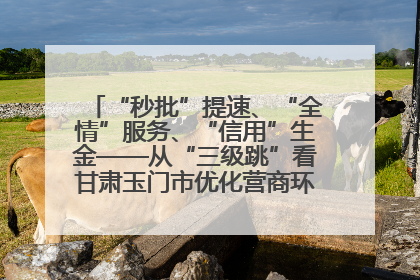 “秒批”提速、“全情”服务、“信用”生金——从“三级跳”看甘肃玉门市优化营商环境的进阶之路
