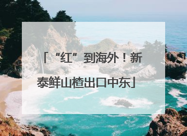 “红”到海外！新泰鲜山楂出口中东