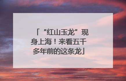 “红山玉龙”现身上海！来看五千多年前的这条龙