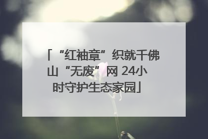 “红袖章”织就千佛山“无废”网 24小时守护生态家园