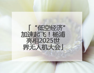 “低空经济”加速起飞！杨浦亮相2025世界无人机大会