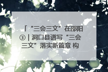 “三会三文”在邵阳③｜洞口县谱写“三会三文”落实新篇章 构建协同联动大格局