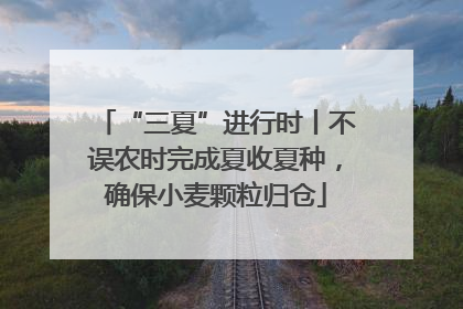 “三夏”进行时丨不误农时完成夏收夏种，确保小麦颗粒归仓