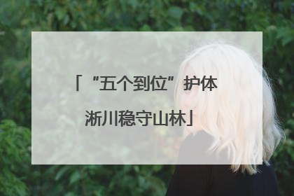 “五个到位”护体 淅川稳守山林