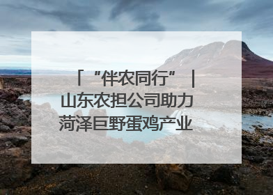 “伴农同行”｜山东农担公司助力菏泽巨野蛋鸡产业高质量发展