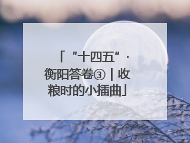 “十四五”·衡阳答卷③｜收粮时的小插曲