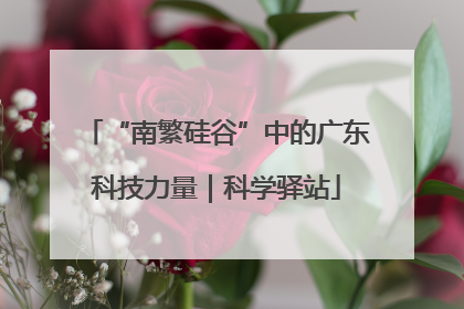 “南繁硅谷”中的广东科技力量｜科学驿站