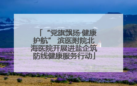 “党旗飘扬·健康护航” 滨医附院北海医院开展进盐企筑防线健康服务行动