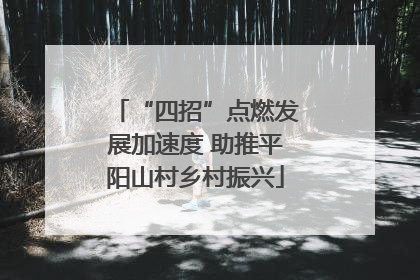 “四招”点燃发展加速度 助推平阳山村乡村振兴