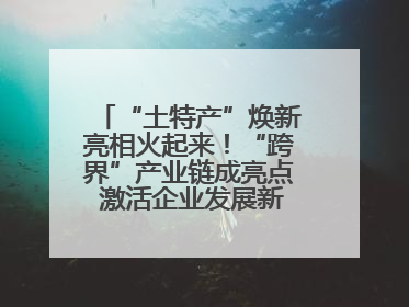 “土特产”焕新亮相火起来！“跨界”产业链成亮点 激活企业发展新增长点