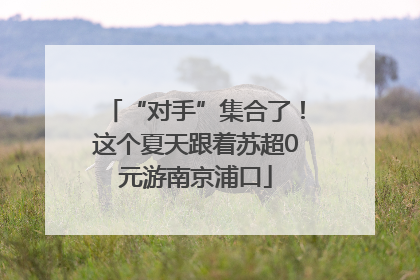 “对手”集合了！这个夏天跟着苏超0元游南京浦口