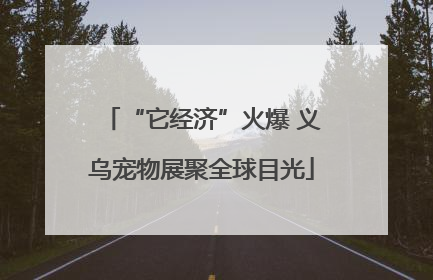 “它经济”火爆 义乌宠物展聚全球目光