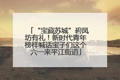 “宝藏苏城”碧凤坊有礼！新时代青年榜样喊话宝子们这个六一来平江街道