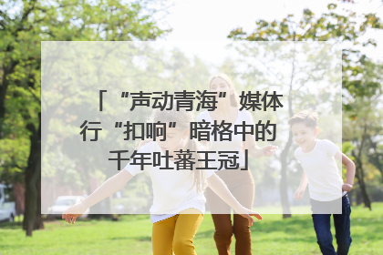 “声动青海”媒体行“扣响”暗格中的千年吐蕃王冠