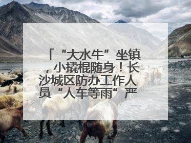 “大水牛”坐镇，小撬棍随身！长沙城区防办工作人员“人车等雨”严阵以待