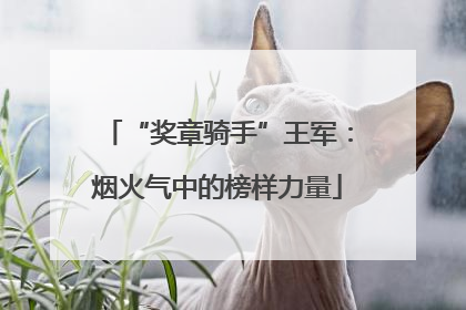 “奖章骑手”王军：烟火气中的榜样力量