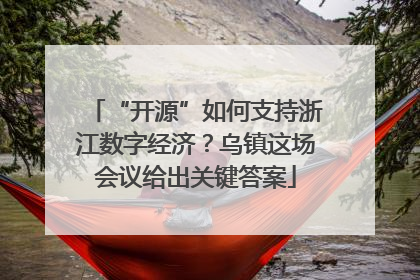 “开源”如何支持浙江数字经济？乌镇这场会议给出关键答案