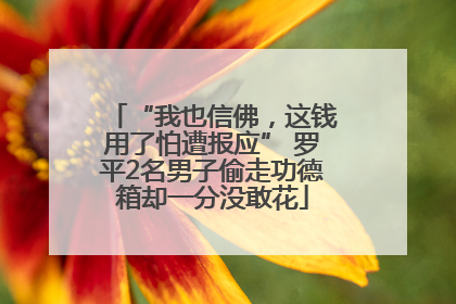 “我也信佛，这钱用了怕遭报应” 罗平2名男子偷走功德箱却一分没敢花
