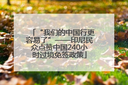 “我们的中国行更容易了”——印尼民众点赞中国240小时过境免签政策
