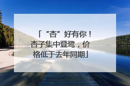 “杏”好有你！杏子集中登鹭，价格低于去年同期