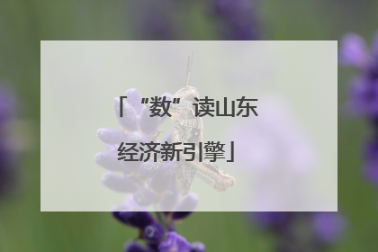 “数”读山东经济新引擎