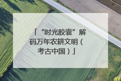 “时光胶囊”解码万年农耕文明（考古中国）