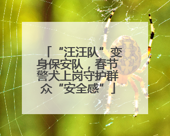 “汪汪队”变身保安队，春节警犬上岗守护群众“安全感”