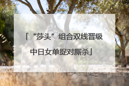 “莎头”组合双线晋级 中日女单捉对厮杀