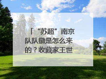 “苏超”南京队队徽是怎么来的？收藏家王世清细说源头