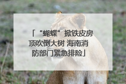 “蝴蝶”掀铁皮房顶吹倒大树 海南消防部门紧急排险