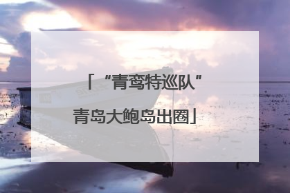 “青鸾特巡队”青岛大鲍岛出圈