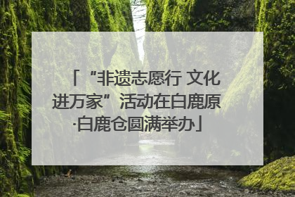 “非遗志愿行 文化进万家”活动在白鹿原·白鹿仓圆满举办