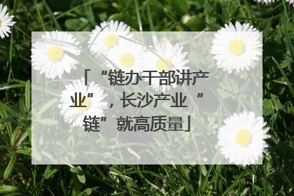 “链办干部讲产业”，长沙产业“链”就高质量