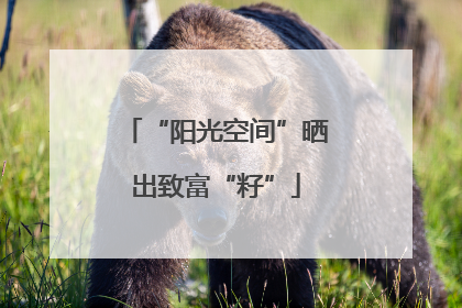 “阳光空间”晒出致富“籽”