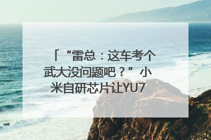 “雷总：这车考个武大没问题吧？”小米自研芯片让YU7会学习｜汽车科技