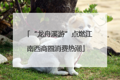 “龙舟溪游”点燃江南西商圈消费热潮