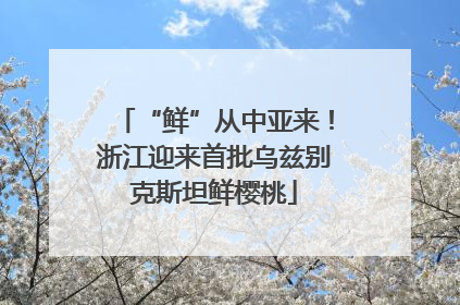 “鲜”从中亚来！浙江迎来首批乌兹别克斯坦鲜樱桃