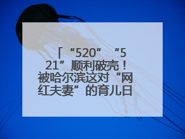“520”“521”顺利破壳！被哈尔滨这对“网红夫妻”的育儿日记暖到了……