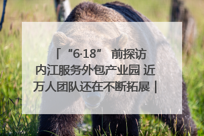 “6·18” 前探访内江服务外包产业园 近万人团队还在不断拓展｜内江东兴“红”在哪⑤